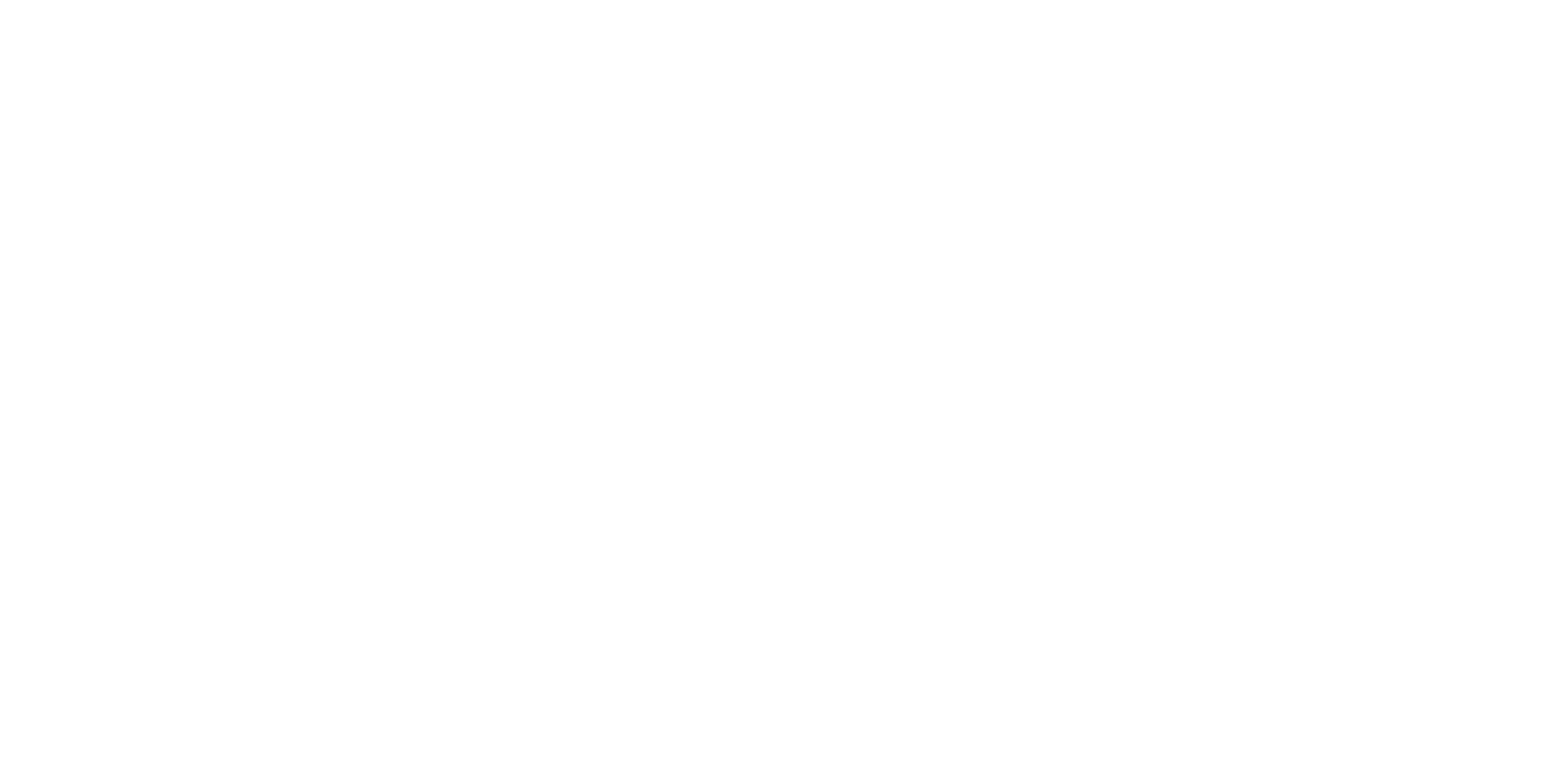 Simon Bjørn Logo