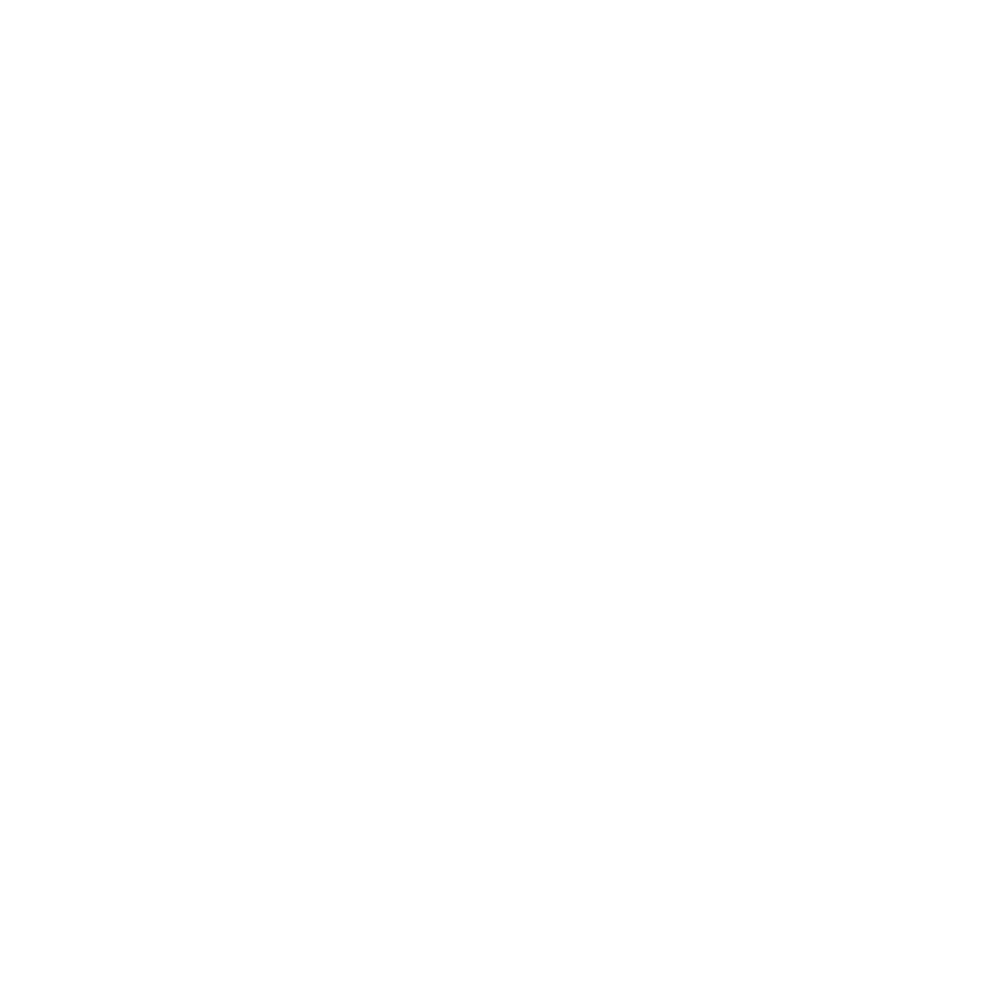 Aarhus Airport Logo